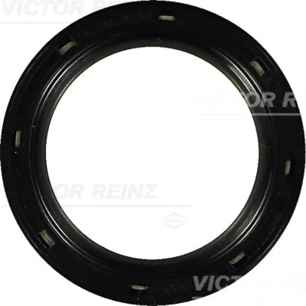 813555400 Victor Reinz