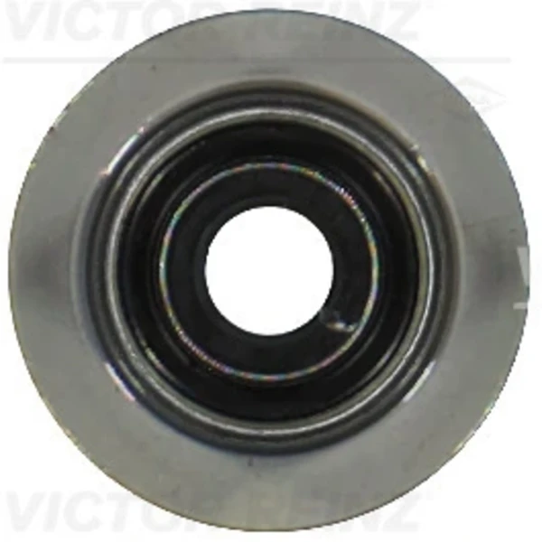 703554900 Victor Reinz