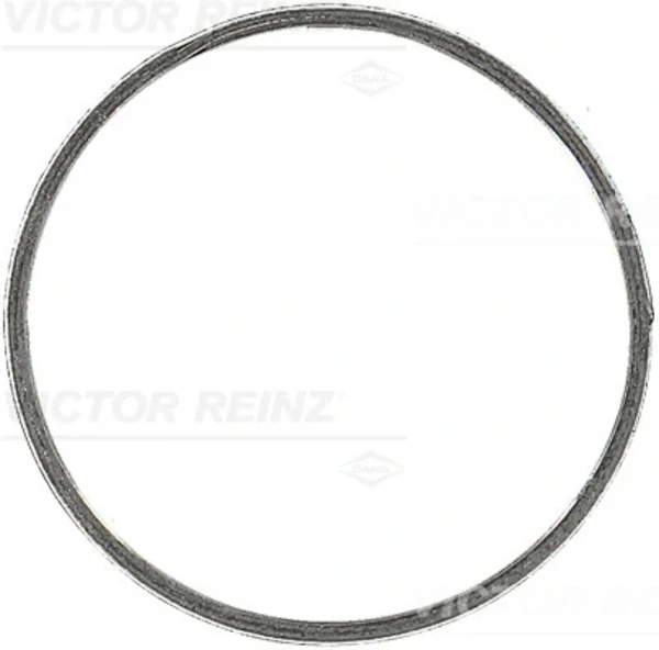 713721300 Victor Reinz