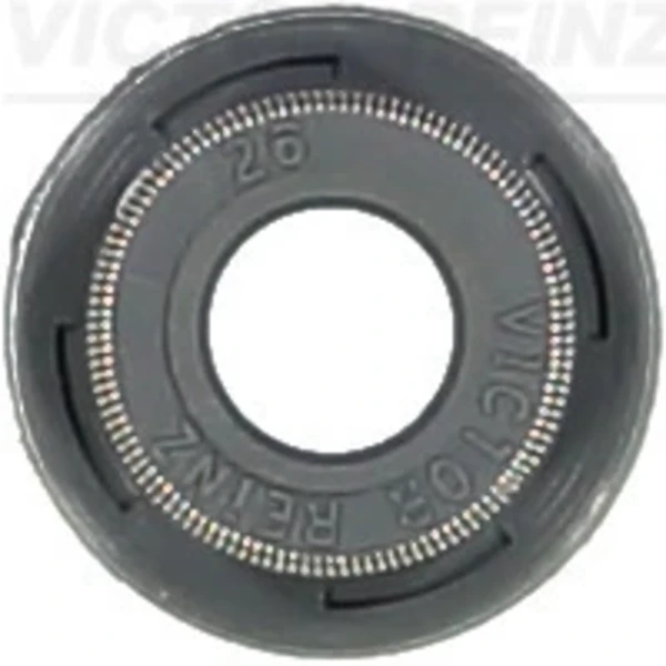 705416900 Victor Reinz