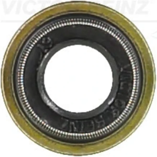 705392400 Victor Reinz