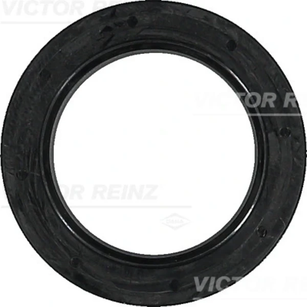 813655700 Victor Reinz
