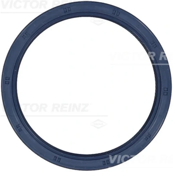 815333300 Victor Reinz