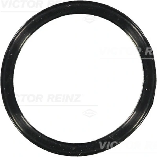 703658300 Victor Reinz