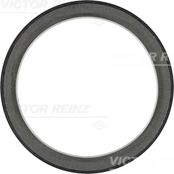 813619700 Victor Reinz