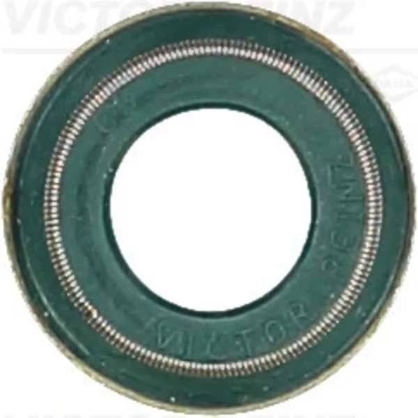703690300 Victor Reinz