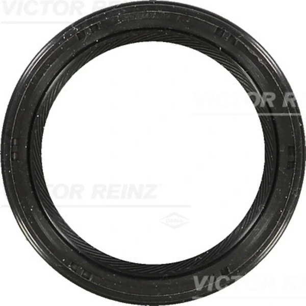 815327300 Victor Reinz