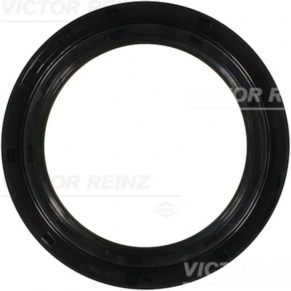 811047900 Victor Reinz