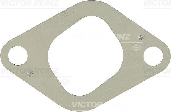 715276100 Victor Reinz