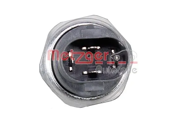 0917377 Metzger