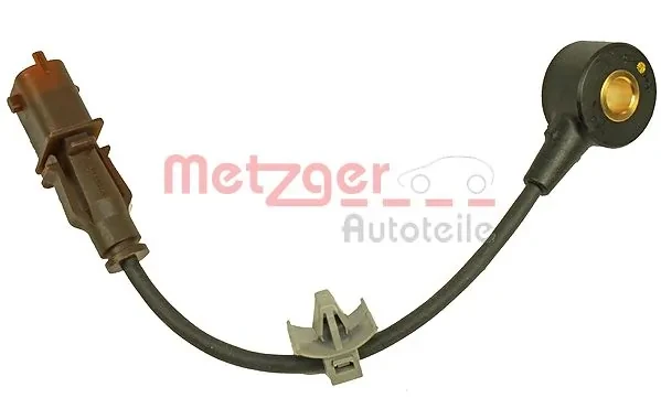 0907101 Metzger
