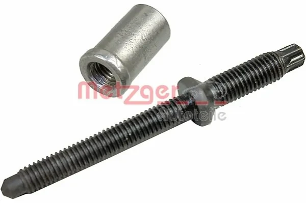 Tornillo, soporte inyector Citroen C4 2 (B7)