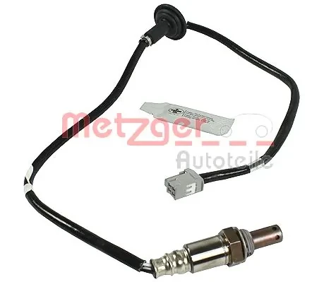 0893324 Metzger