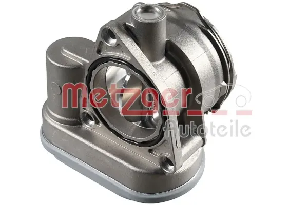 Cuerpo de mariposa 0892469 Metzger