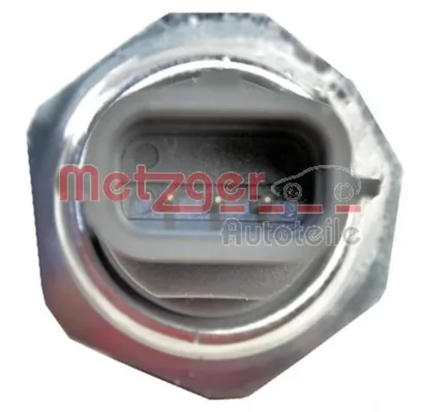 0917311 Metzger