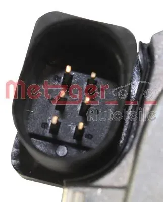 Cuerpo de mariposa 0892095 Metzger