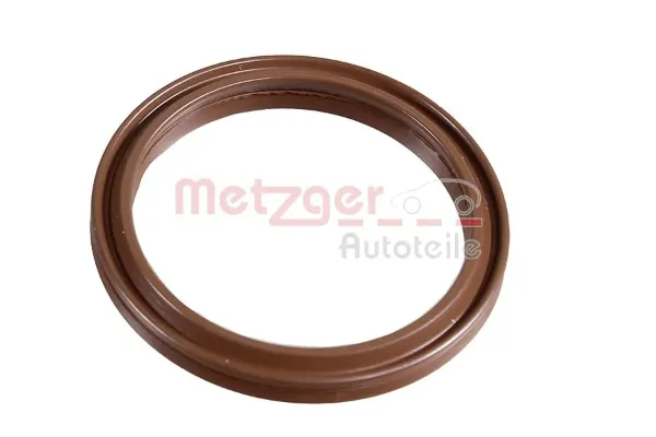  2430103 Metzger