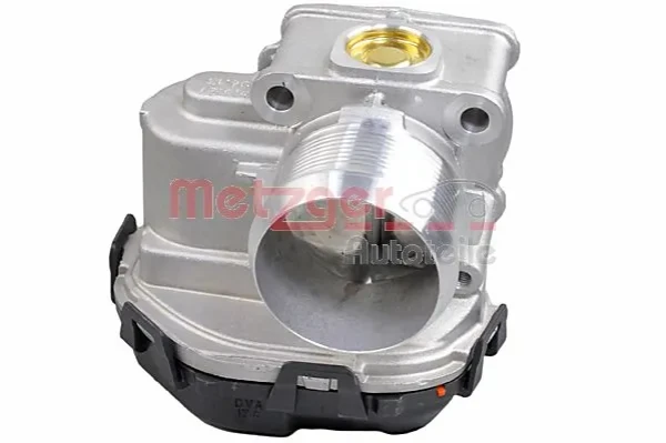 Cuerpo de mariposa completo Citroen Berlingo (K9)