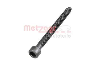 Tornillo de fijación del inyector METZGER 0872003S