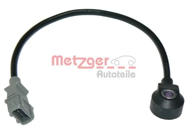 0907013 Metzger