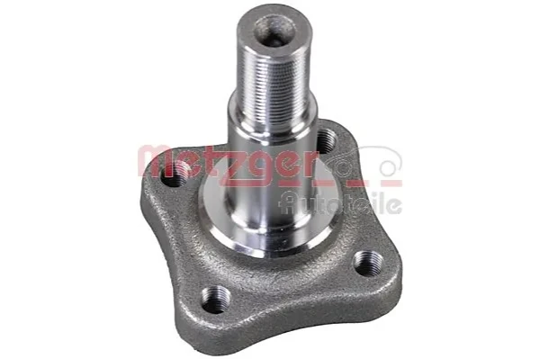Muñón del eje, suspensión de rueda, trasero Renault Modus (JP0)