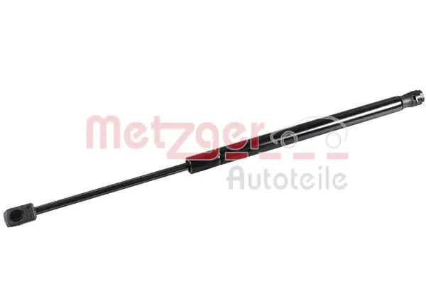 Amortiguador maletero Audi TT FV3, FVP