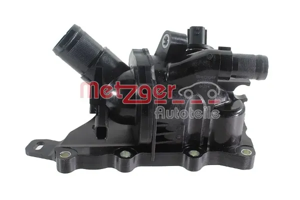 Termostato 110603305R Renault (RVI)