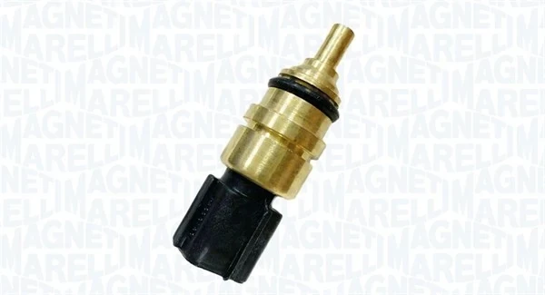 171916011900 Magneti Marelli