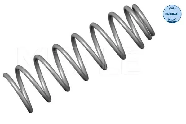 Muelle 1000510002 Meyle