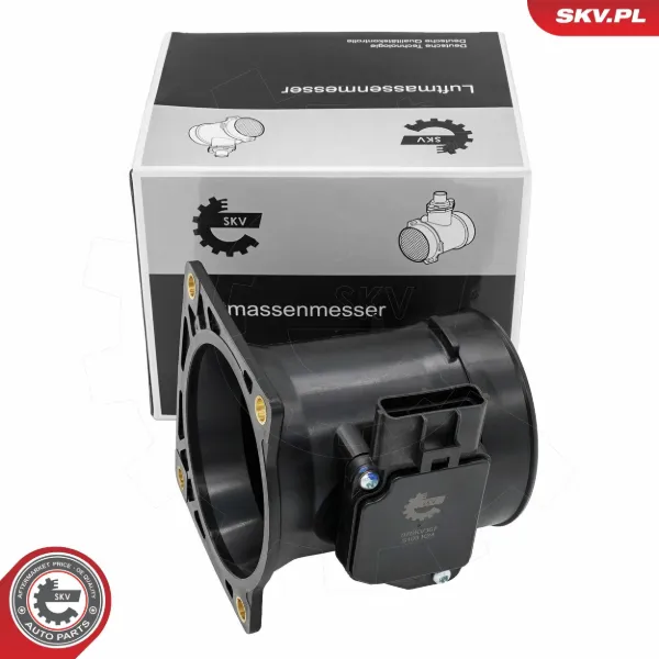 Caudalímetro 3043533 Ford