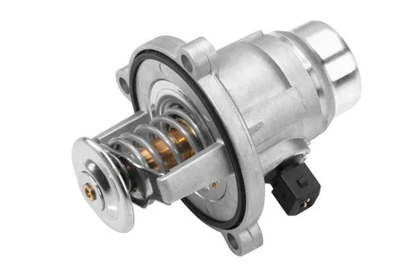 Termostato 4508101D Wahler