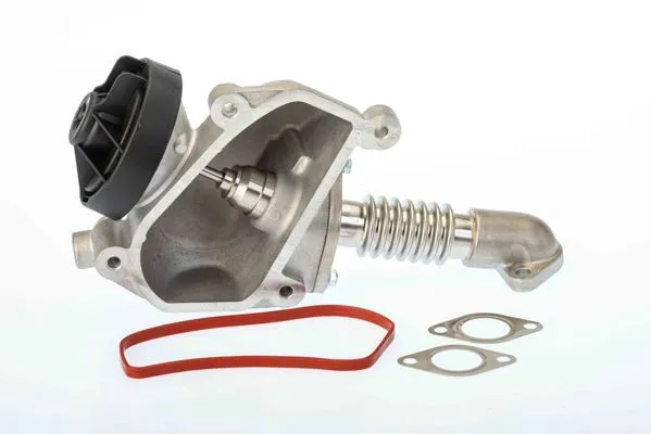 Válvula EGR 7206D Wahler