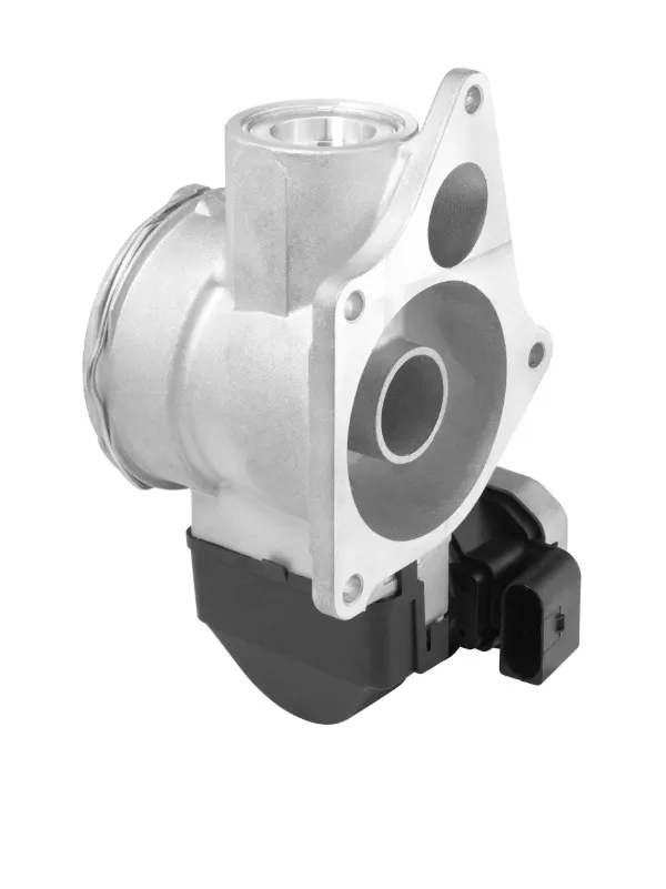 Válvula EGR 7256D Wahler