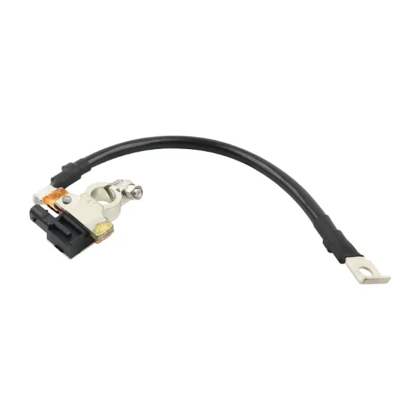 Cable de masa de batería 61129215952 BMW