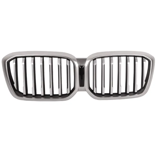 Parrilla 51139881906 BMW