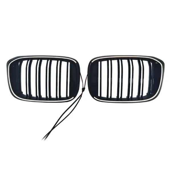 Rejilla izquierda 51138469959 BMW
