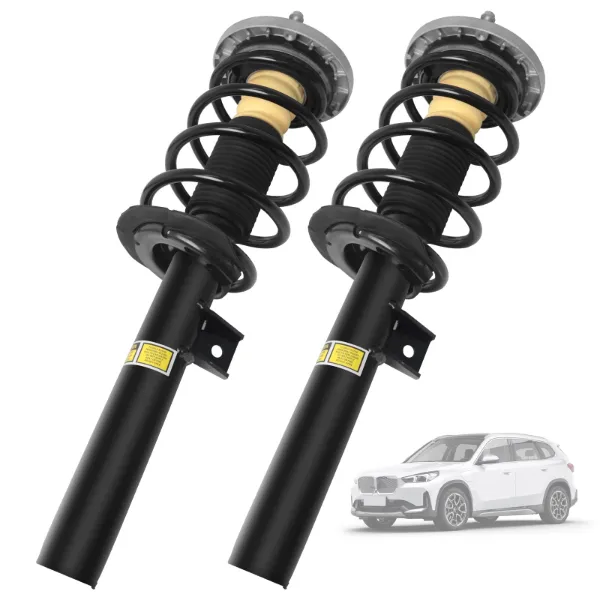 Amortiguador delantero izquierdo 31316796315 BMW