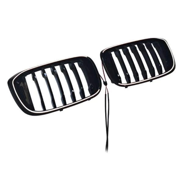 Rejilla derecha del radiador 51138469960 BMW
