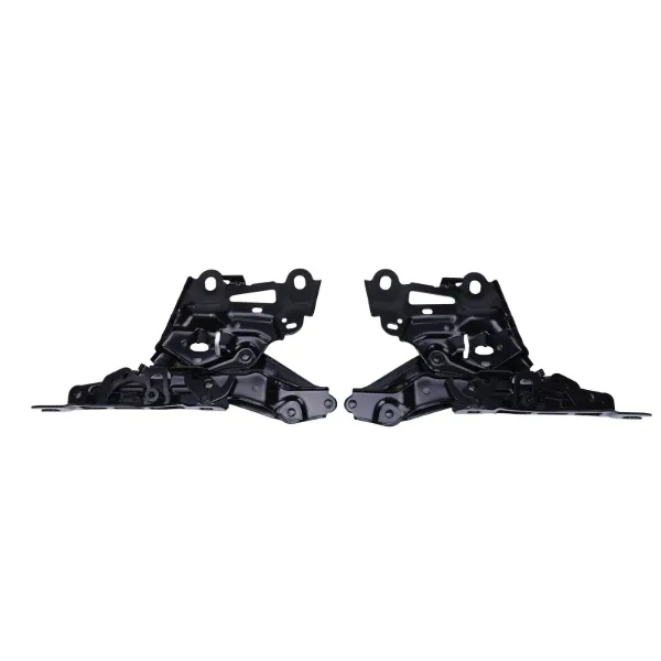 Bisagra derecha del capó 41009629174 BMW