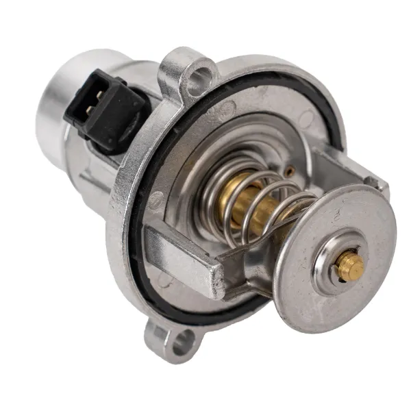 Termostato 7586885 BMW