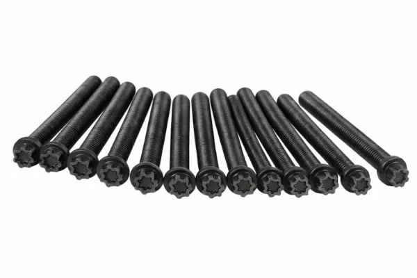 Tornillo culata 11127831862 BMW