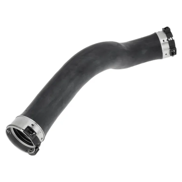 Tubo intercooler 11618572859 BMW
