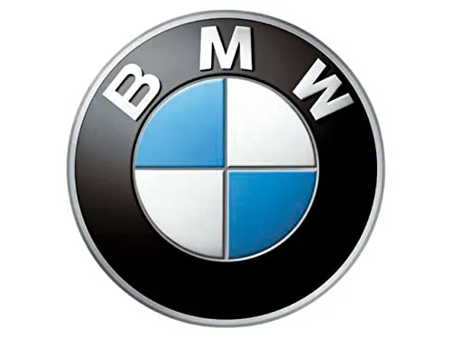 Retén del diferencial del eje trasero 33107505604 BMW