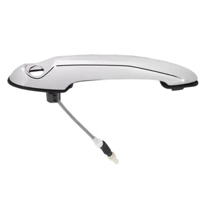 Manija exterior derecha de puerta trasera BMW 51219803704