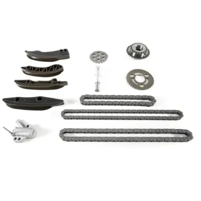 Guía del tensor de la cadena de distribución BMW 11317797898