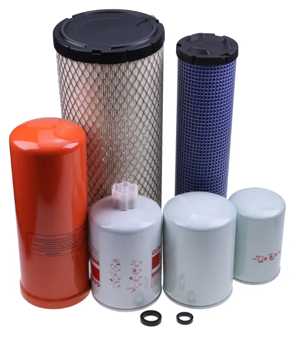 Filtro de aire 222425A1 Case