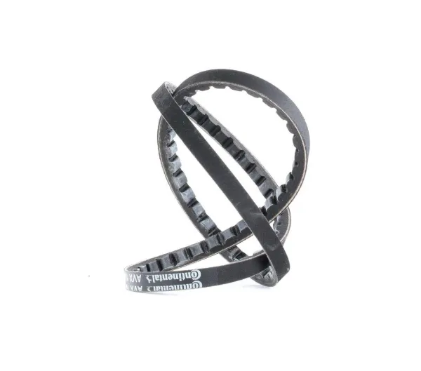 Correa de alternador 10X875 Continental/Siemens