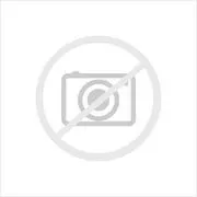 Correa de alternador 113X912 Continental/Siemens
