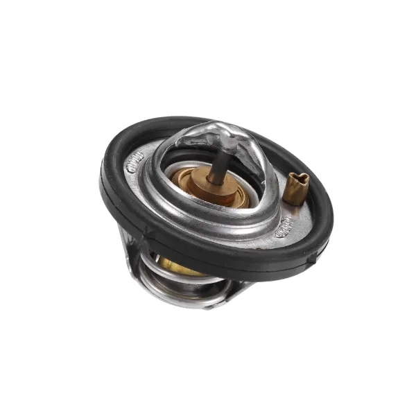 Termostato 4M5G8575ZB Ford