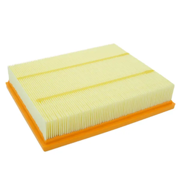 Filtro de aire DS739601AC Ford